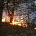 Veliki šumski požar istočno od Aleksandropolisa, evakuisano osam sela
