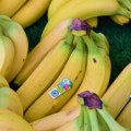 Koliko banana smete da pojedete u toku dana?