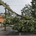 Vetar orkanske snage obarao stabla