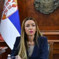 Mesarović: Srbija ima stabilne javne finansije i rekordan priliv investicija
