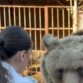 Maša i Ljubica: Medvedice koje ne mogu da žive bez ljudi