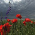 Vremenska prognoza za petak 24. jul 2026: Danas promenljivo oblačno sa kišom