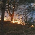 VIDEO Bukte požari u Crnoj Gori: Najgore je na Cetinju