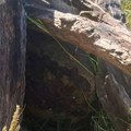 VIDEO: Bomba uz pomoć krana i kamiona odvezena sa obale ispod Petrovaradinske tvrđave