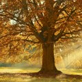 Sunčano i toplo, sa temperaturama do 28 stepeni