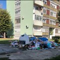 Ljubić kej, svaki dan i dva dana pred izbore