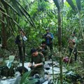 Četvero djece pronađeno u kolumbijskoj džungli 40 dana nakon pada aviona