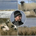 "Nasledio sam porodičnu tradiciju - deda, otac i ja": On je najpoznatiji stočar na prostranim pašnjacima Peštera (foto)