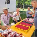 Suša obrala malinu: Skroman ovogodišnji rod “crvenog zlata” u valjevskom kraju
