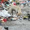 Neko je ovo bacio na deponiju, a onda je naišao Željko: "Neka je stid i sram potomke koji ih nisu sačuvali"