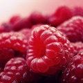 Maline sa kadmijumom: Francuzi zadržali robu iz Srbije