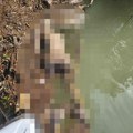 Tela pronađena u Savi poslata na obdukciju: Drugo telo je žena