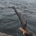 "Tu je, tu je, tu je" Ribolovac iz Srbije hit na mrežama! Od grane napravio pecaljku pa iz Dunava izvukao grdosiju: "I posle…