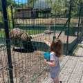 „Zoo Planet“ pokrenuo program „Virtuelni udomitelj“ za pomoć životinjama