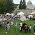 Vitezovi kraj svetinje: Tradicionalni "Maglič fest" u nedelju u Studenici