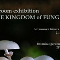 U carstvu gljiva: Izložba u Botaničkoj bašti "Jevremovac"