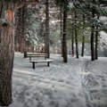 Veoma hladno jutro: Poseban oprez u saobraćaju – zbog magle i leda