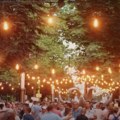 Spoj umetnosti i dobre kapljice u Sremskoj Mitrovici Vinski park ove godine 23. avgusta