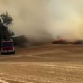 Gust dim prekrio nebo, ne vidi se prst pre okom: Stravičan požar zahvatio njive u okolini Kule
