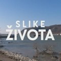 Slike života, nedelja u 15.15h: Dunavska košava