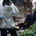 Uznemirujući snimak: Lavica zgrabila devojčicu (10) dok ju je hranila kroz rešetke u zoo-vrtu