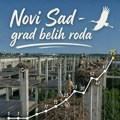 Danas je Svetski dan roda, u novosadskoj koloniji rekordnih 75 gnezda