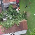 Jako nevreme pogodilo Guču: Drvo lipe palo na kuću (foto)