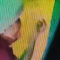 Lopov iz Novog Sada nasmejao sve do suza: Pljačkao lokal bez maske, pogledajte kako se "sakrio" (video)