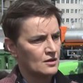 Nedostojna funkcije: Akademski plenum traži ostavku Ane Brnabić