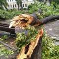 Još traje saniranje posledica olujnog nevremena u Požarevcu, od 26. Jula Odšeta samo na javnim površinama