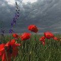 Vremenska prognoza za petak 24. jul 2026: Danas promenljivo oblačno sa kišom