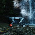 Pas-robot u pratnji naučne ekspedicije u planinama Ajlao na jugozapadu Kine