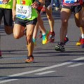 Novosadski maraton 8. oktobra, do sada se prijavilo više od 400 takmičara