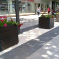 Tabačka ČARŠIJa: Cvetne žardinjere ulepšale obnovljenu ulicu