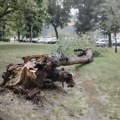 Jako nevreme u Kragujevcu Poplavljene ulice u centru grada, vetar čupao drveće (foto)