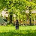 Biljke će vam se preporoditi od čudesnog recepta monahinja: Jedna namirnica koristi se već 2000 godina za rast, a prirodna…