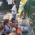 FOTO Porodični dan u znaku životinja: Treća izložba sitnih ljubimaca u OŠ „Slobodan Bajić Paja“