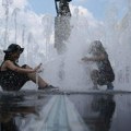 Tropski talas na Balkanu i u svetu: Lavovi uginuli u japanskom zoo vrtu