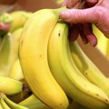 Klimatske promene: Raste temperatura, ali raste i cena banana, upozoravaju stručnjaci