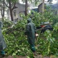 "Zelenilo Beograd": 461 intervencija posle nevremena, na 39 lokacija materijalna šteta