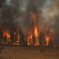 Borba sa vatrom ne prestaje: Požar pretio da zahvati kuću, sprečena katastrofa FOTO/VIDEO