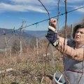 Od farme pilića do voćnjaka: Snežana i Danko napustili grad i gaje organske maline u selu iznad Drine