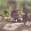Robot spasava život ranjenom ukrajinskom vojniku: Pogledajte neverovatan snimak sa prve linije fronta (video)