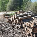 Kod administrativne linije sa KiM ilegalno posečeno 19.000 kubika drva