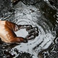 Otkriveno džinovsko nalazište nafte - 10 milijardi barela: Uskoro poziv u OPEK?