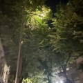 Ulična svetiljka u centru Niša umesto ulice, osvetljava nebo