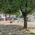 Kragujevac: Vremenska prognoza za narednu sedmicu (od 16. do 22. juna)