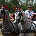 Vranac iz bašaida darovan knezu mihajlu: U selu kod Kikinde danas je održana treća fijakerijada