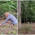 "Izgleda da sam oženio princezu": Snimao devojku dok je šetala kroz šumu, a onda se dogodio trenutak kao iz bajke