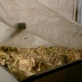 Uhapšena tri lica iz okoline Kovina zbog nedozvoljenog prometa i skladištenja duvana